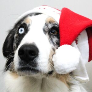 Lorem Ipsum is simply 3